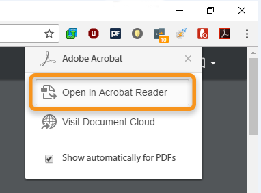 Adobe pdf not opening in browser